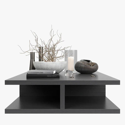 Coffee table decor — Ver 1