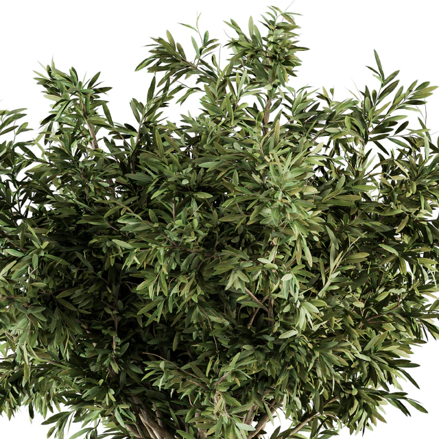 Outdoor Plant Set 203 - Plant and Tree in Pot — Descargar