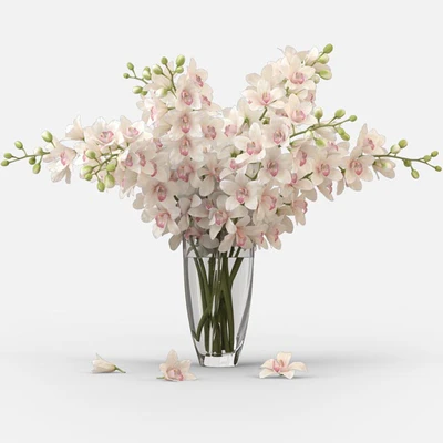 Bouquet of orchids — Ver 3