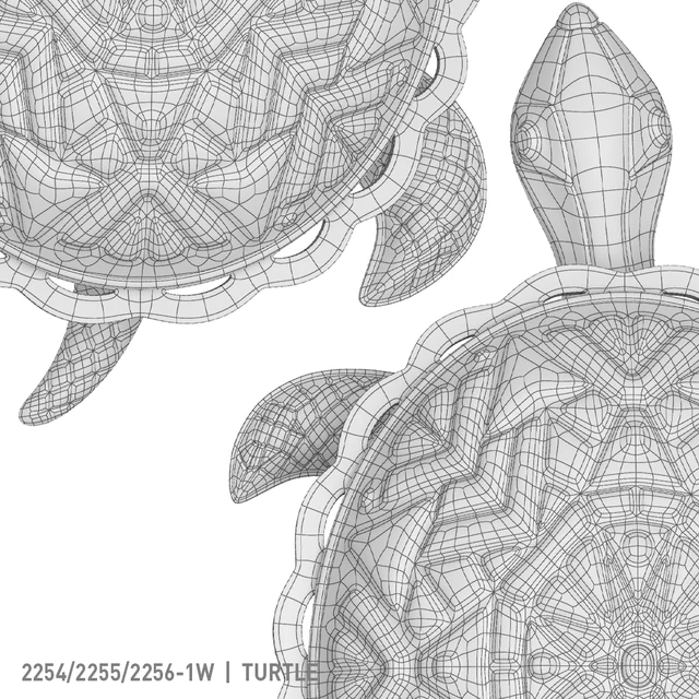 Favorite turtle — Descargar