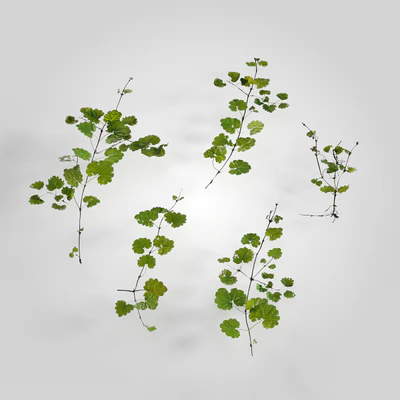 low poly plants 006 — Скачать