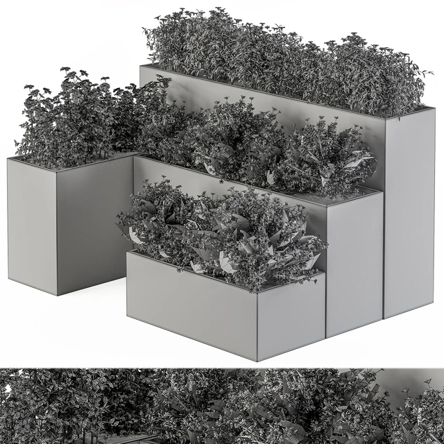 Flower Box - Outdoor Plants 436 — Скачать