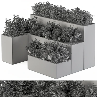 Flower Box - Outdoor Plants 436 — Вид 3
