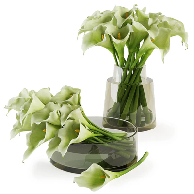 Calla lilies bouquets — Ver 1
