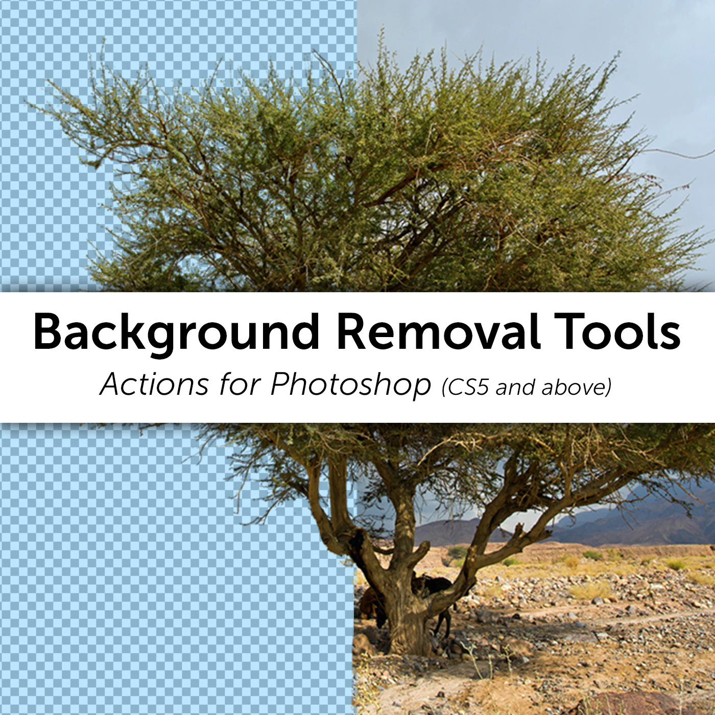 background removal tools — Скачать