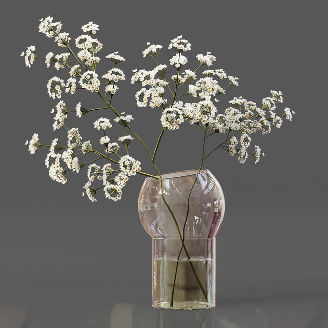 Collaction Indoor Plants 06 — Скачать