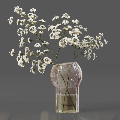 Collaction Indoor Plants 06 — Вид 5