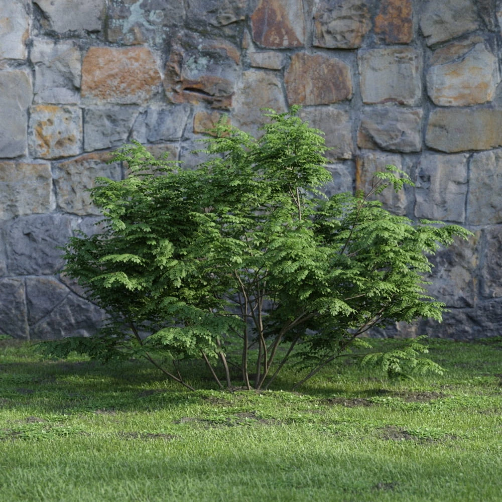 plants and bushes 012 — Descargar