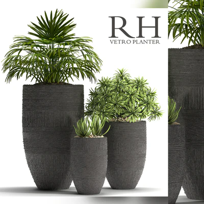 PLANTS 42 — Ver 1