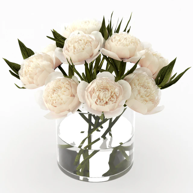 Bouquet of peonies — Descargar
