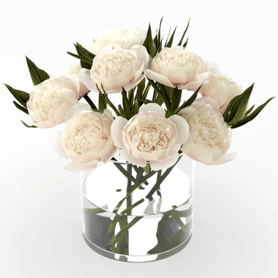 Bouquet of peonies — Ver 4