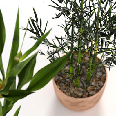 Bamboo Indoor Plant Set — Ver 2
