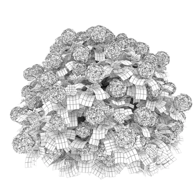 Hydrangea 02 — Ver 3