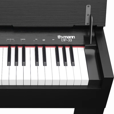 Thomann DP-33 B — Ver 2