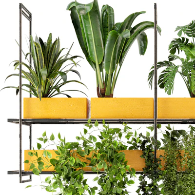 Indoor Hanging Plants in Metal Box - Set 78 — Ver 3