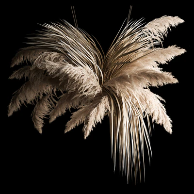 Hanging bouquet of dry reeds and pampas grass for decoration and interior. 266. — Ver 1