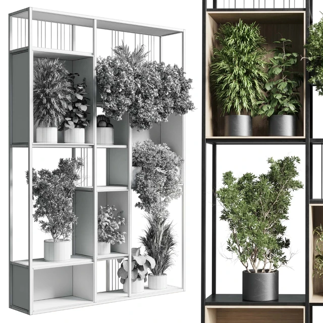 Standing metal shelf with a set 384 of plants in metal boxes corona — Descargar