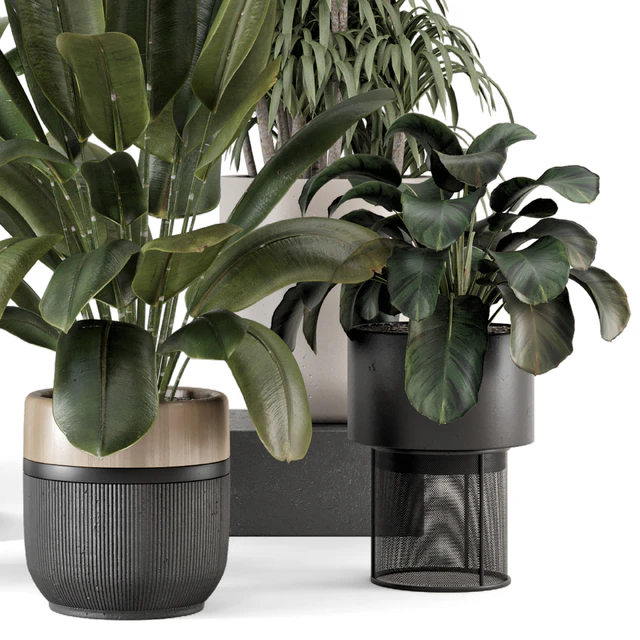 Indoor Plants in Ferm Living Bau Pot Large - Set 1947 — Download