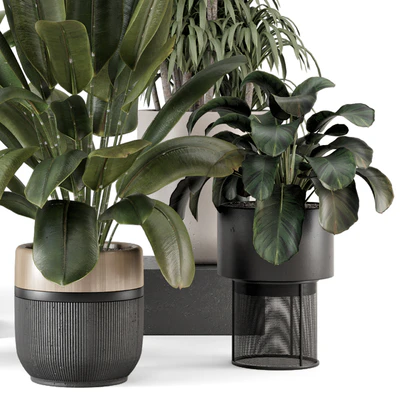 Indoor Plants in Ferm Living Bau Pot Large - Set 1947 — View 4