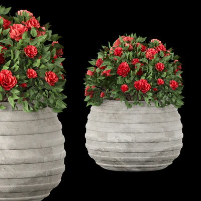 collection flowering bush vol 16 — Вид 5