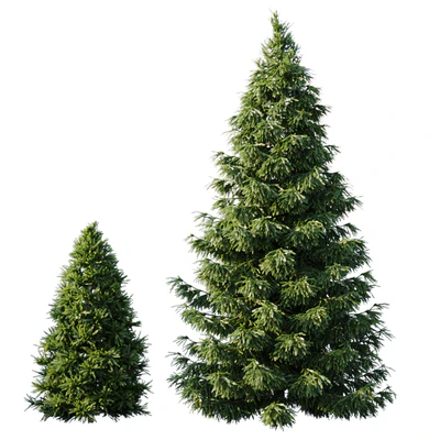 Spruce (4,5m and 9,5m) — Ver 1
