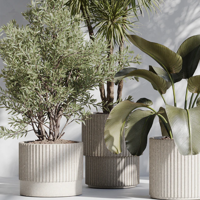 indoor plant set 72 — Descargar