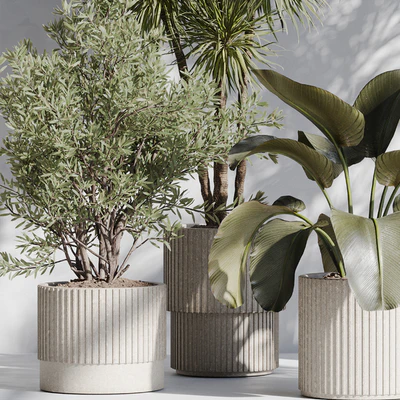 indoor plant set 72 — Ver 3