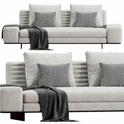Minotti Roger — Вид 1