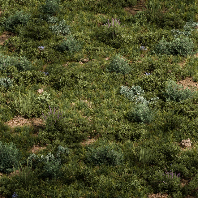 Nature Meadow - Grass Set 30 — Descargar