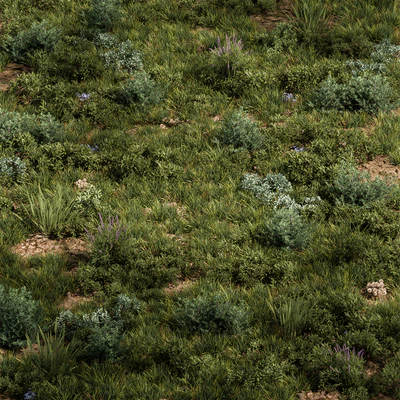 Nature Meadow - Grass Set 30 — Ver 1