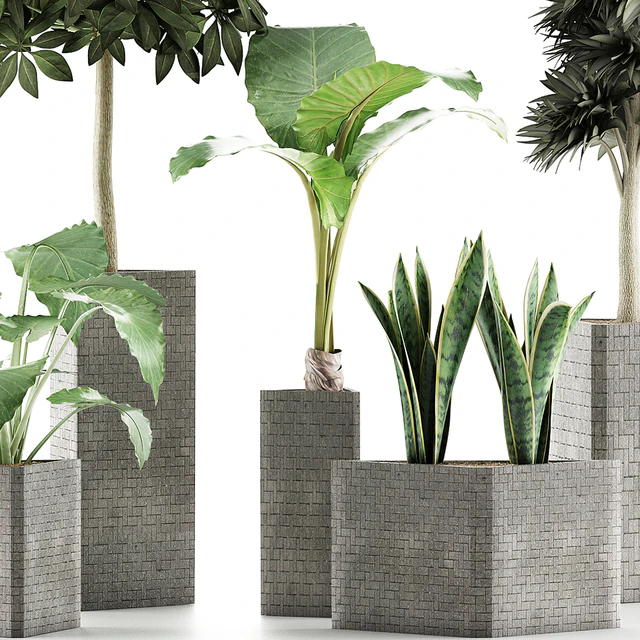 Plants Collection 39 — Descargar