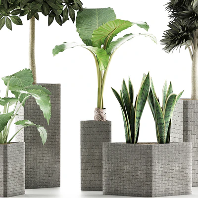 Plants Collection 39 — Ver 3
