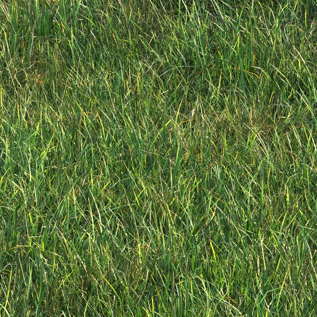 grass011 — Descargar