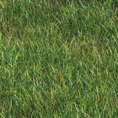 grass011 — Ver 5