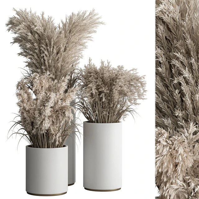 indoor Plant Set 406 - Dried Plant Set in Pot — Скачать