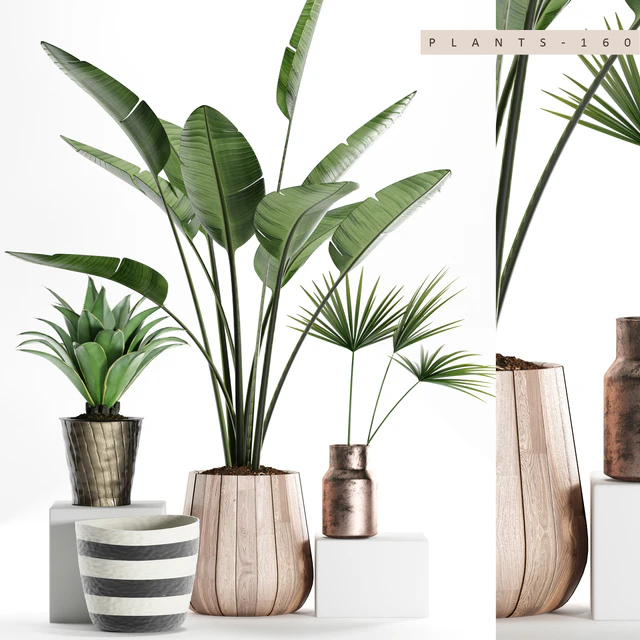 PLANTS 160 — Скачать