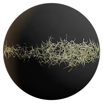 spanish moss 007 — Descargar