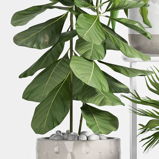 PLANT SET -59 — Descargar