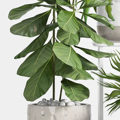 PLANT SET -59 — Ver 2