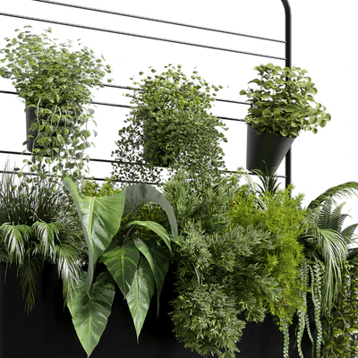 Collection Indoor plant 69 Auckland Black Metal Flower Box plant ivy fern pots — Вид 5