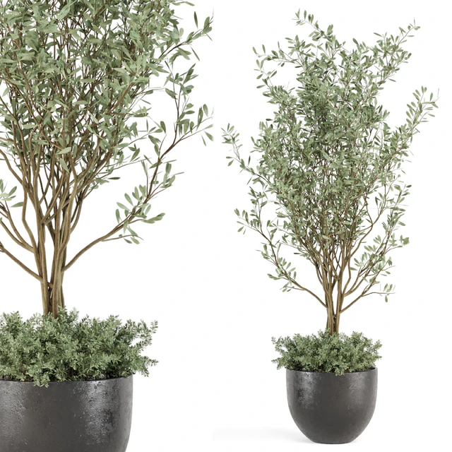Outdoor bush and Tree in rusty Concrete Pot - Set 204 — Descargar