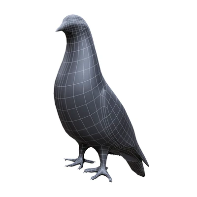 Pigeon — Вид 3