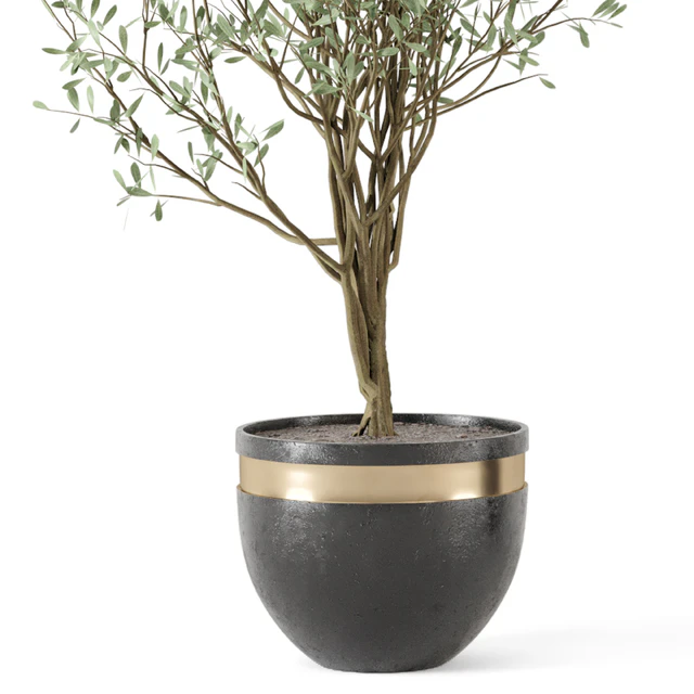 Outdoor bush and Tree in rusty Concrete Pot - Set 204 — Descargar