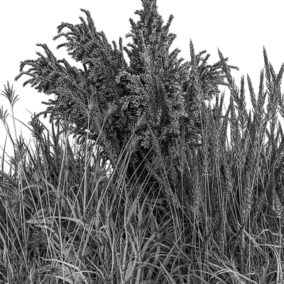 Pampas Plant Bush Set 96 — Вид 3