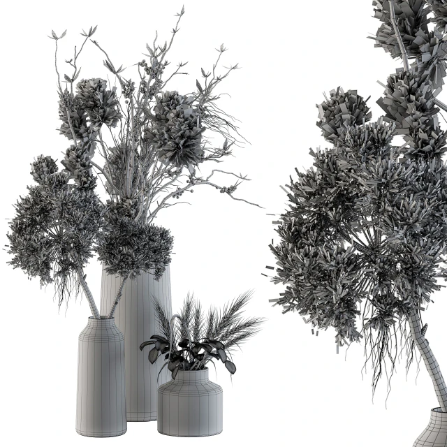 Dry plants 33 - Pampas and Dried Branch — Скачать