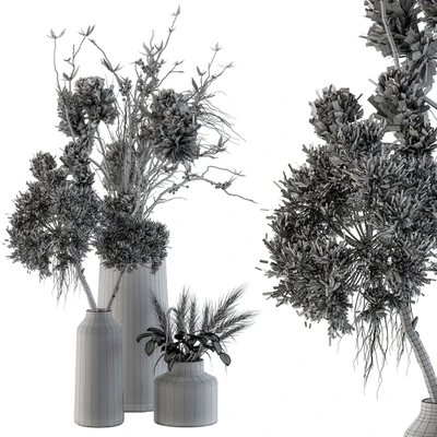 Dry plants 33 - Pampas and Dried Branch — Вид 5