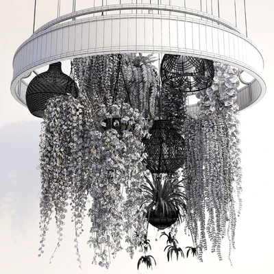 Plants with Wicker Pendants — Вид 3