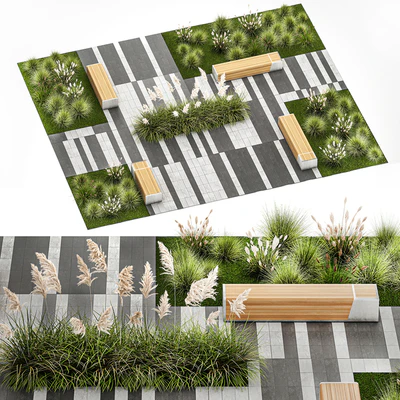 Plants for the urban environment with paving slabs, bench, bench, pampas grass bushes, Cortaderia. 1151. — Ver 5