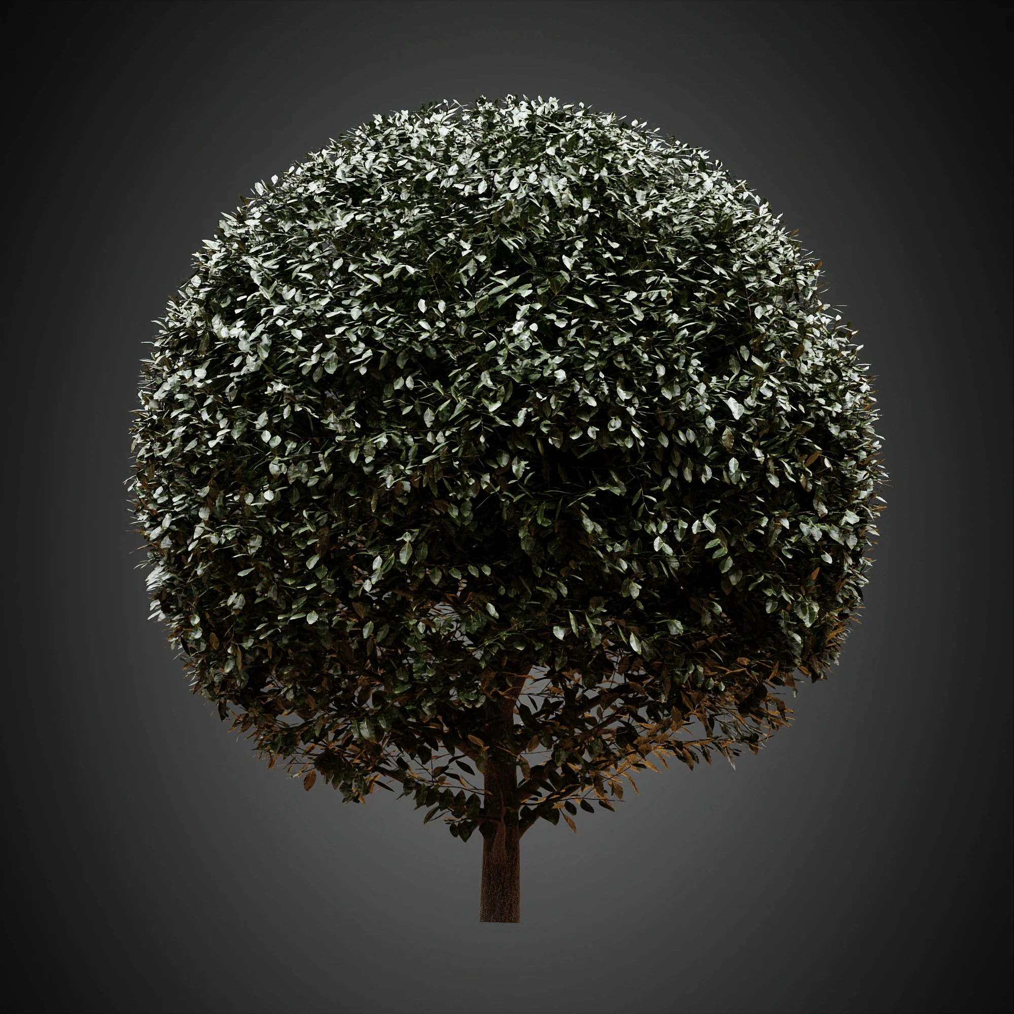 008 — Скачать