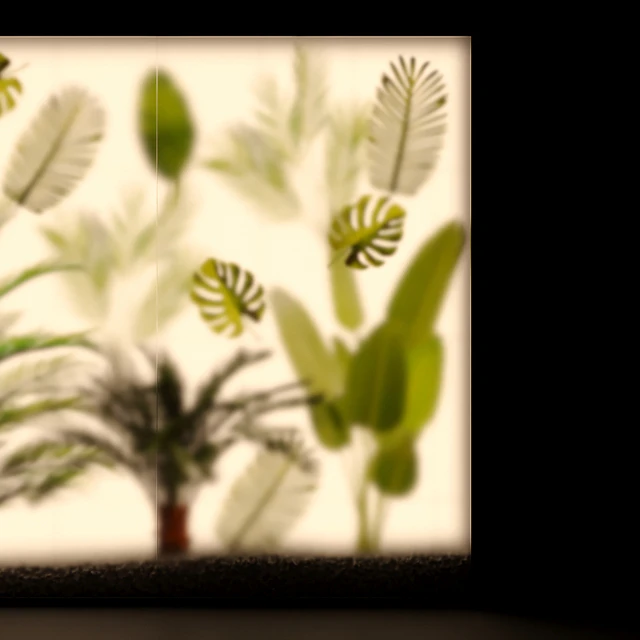 Phyto Display Case — Descargar